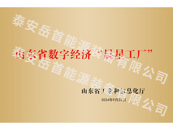 山东省数字经济晨星工厂